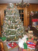 2006_01_07 Christmas Tree